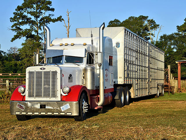 There&#039;s still time for cattle transporters to get certification before the end of the year. (DTN/Progressive Farmer photo by Becky Mills)